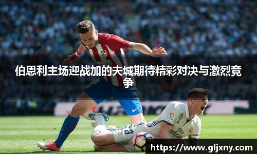 zoty中欧官方app下载