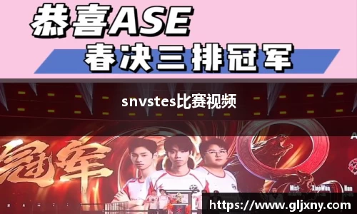 snvstes比赛视频