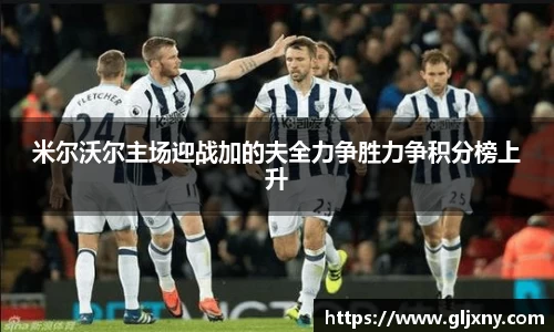 米尔沃尔主场迎战加的夫全力争胜力争积分榜上升