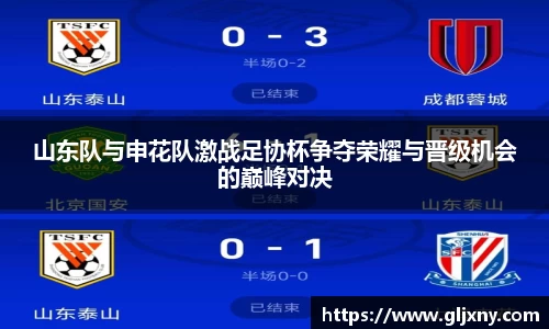 山东队与申花队激战足协杯争夺荣耀与晋级机会的巅峰对决