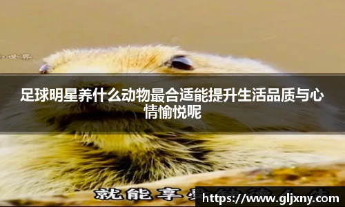 zoty中欧官方网站